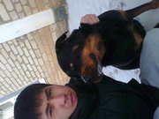 щенка